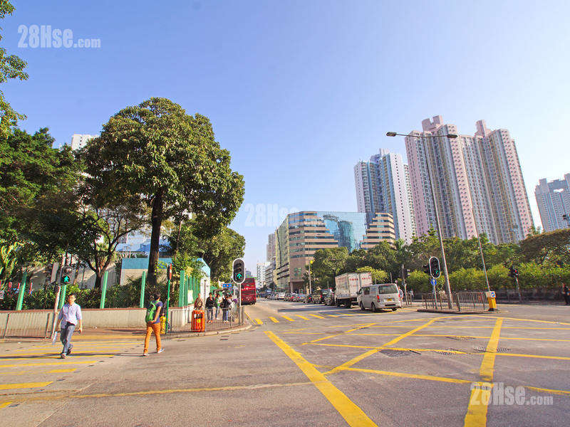 晓悦 附近街道 长沙湾道,左方是昌华街