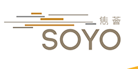 SOYO Developer
