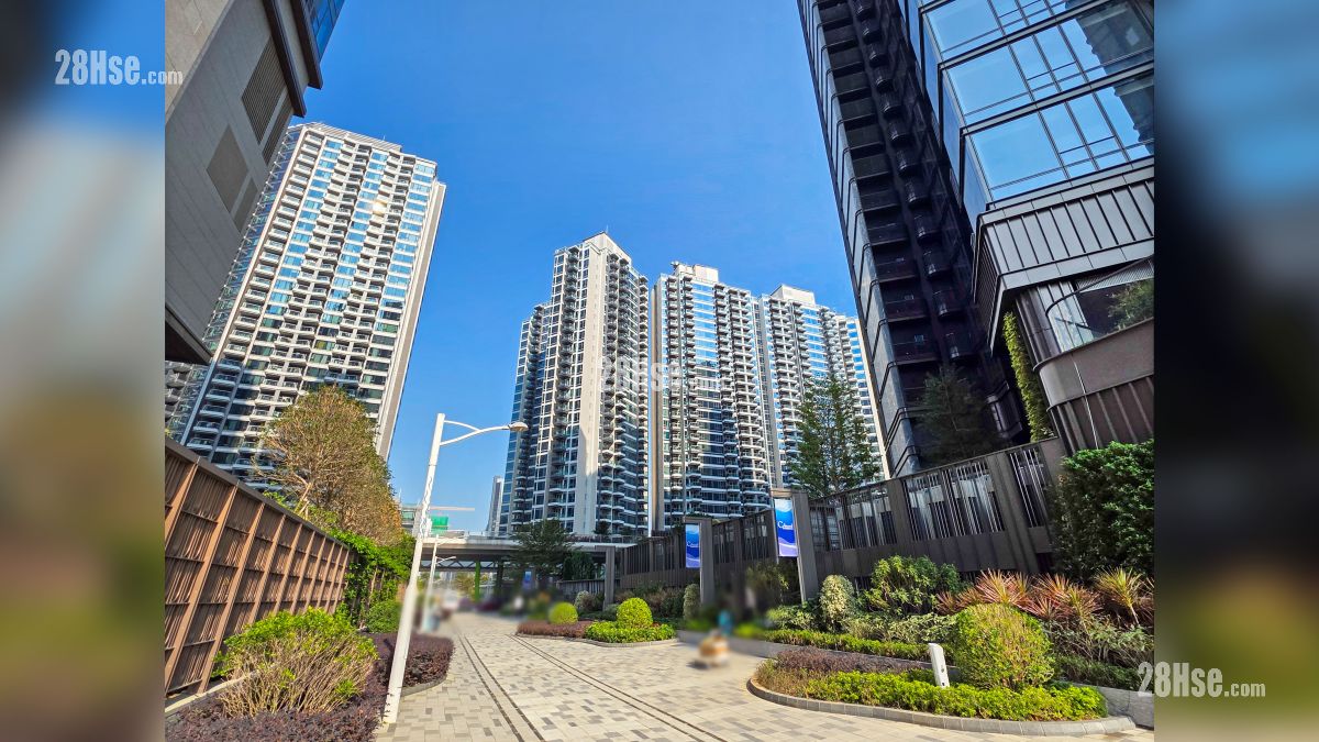 天璽海 2A期 周邊大廈 項目對面的 Miami Quay 與 維港1號