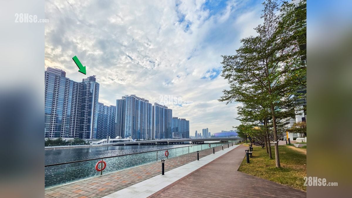 Double Coast III 附近街道 从对岸的香港儿童医院观看, 项目位于绿色箭嘴部分