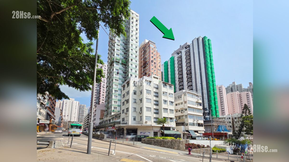 荟淳 周边大厦 项目 (绿色箭嘴部分) 附近有较多单幢式与旧式大厦