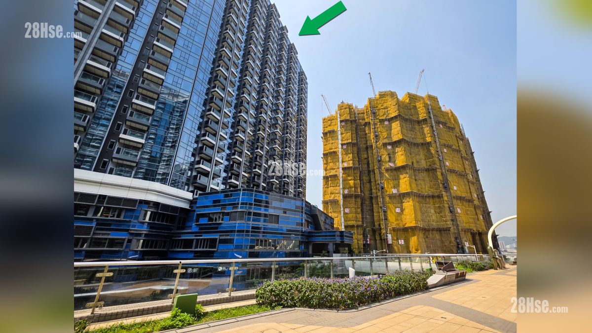 维港湾畔 2B期 周边大厦 项目 (绿色箭嘴部分) 邻近 Victoria Blossom 花语海