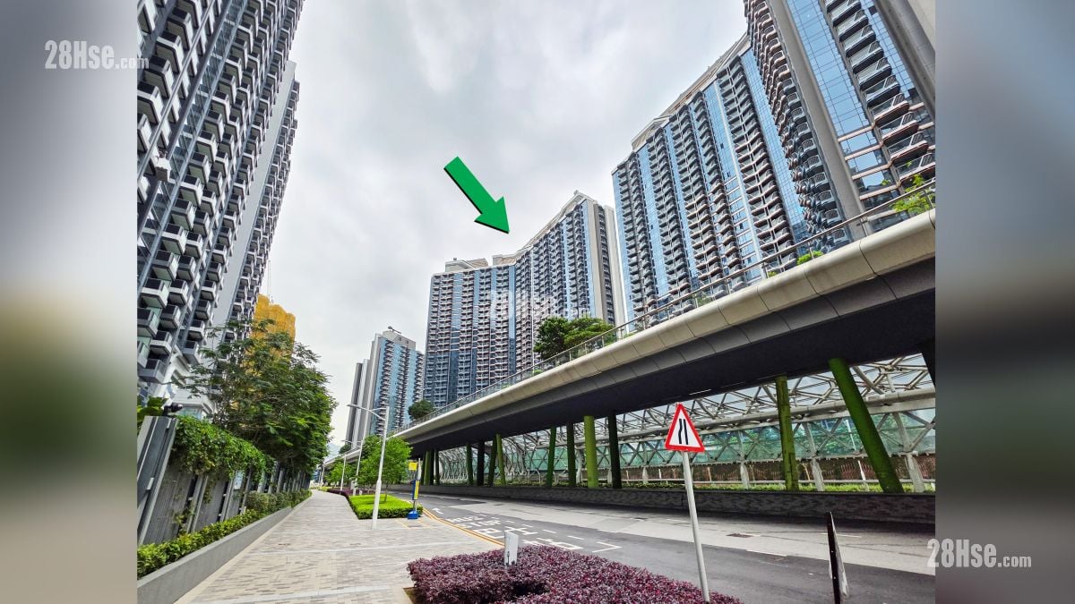 啟德海灣 2 屋苑設施環境 項目 (綠色箭嘴部分) 外的承豐道
