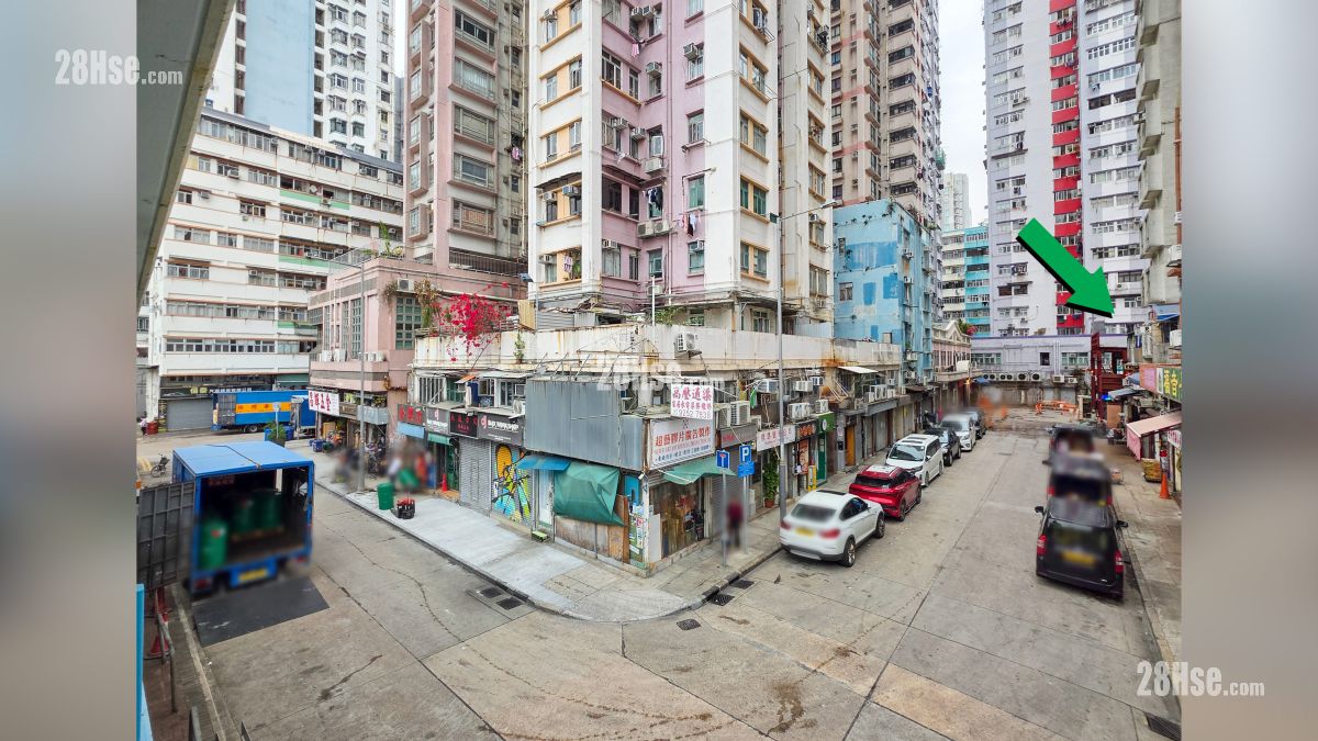 原舍 屋苑設施環境 從德昌里外的行人天橋觀看項目 (綠色箭嘴部分)