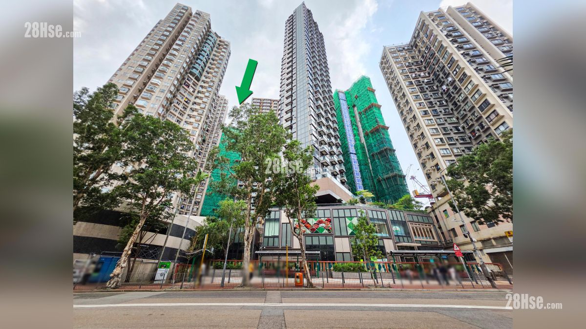 首岸 第一期 周边大厦 从崇安街观看, 项目 (绿色箭嘴部分) 邻近碧丽花园, 环海东岸, 荣辉大厦