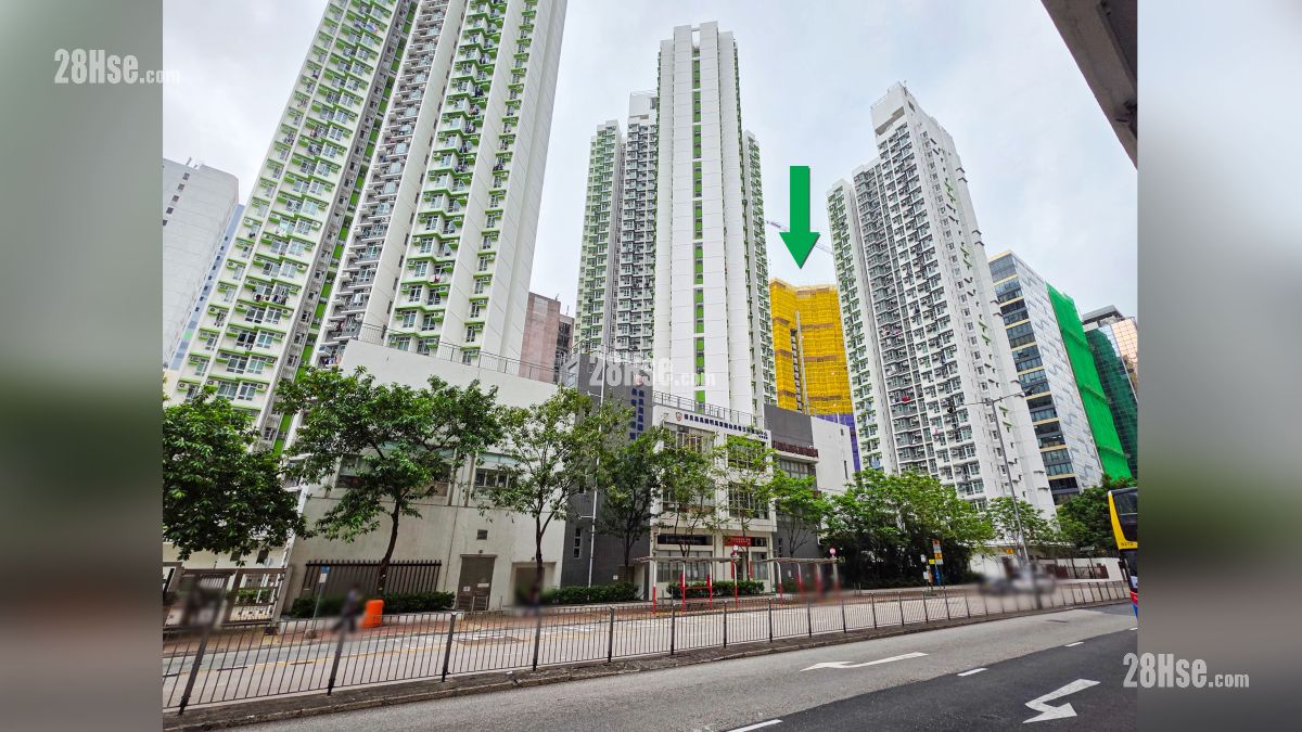 形瑨 周邊大廈 從沙咀道觀看, 項目 (綠色箭嘴部分)  鄰近尚翠苑