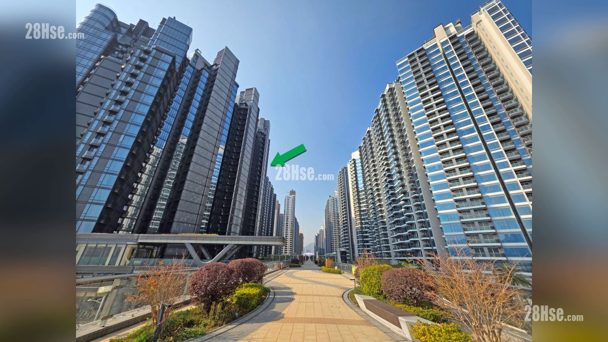 天玺海 2B期 周边大厦 项目 (绿色箭嘴部分) 对面的 Miami Quay (图片右方)